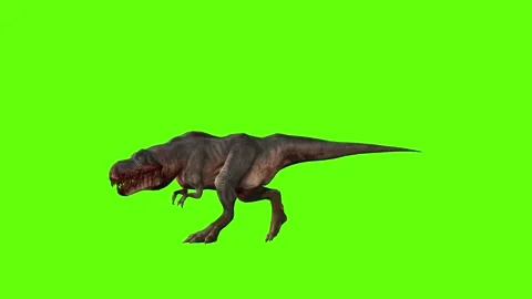 Dinosaur Stock Footage 280433494