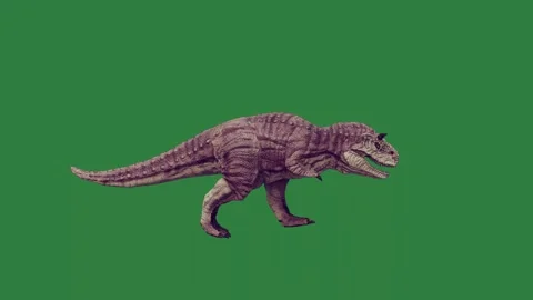 A dinosaur 動画素材 336969526