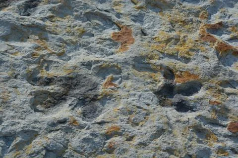Dinosaur Footprints Foto stock