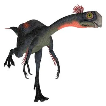 Dinosaur gigantoraptor Stock Illustration