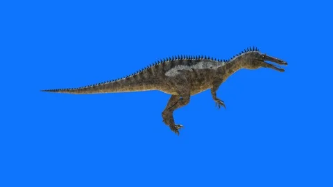 The dinosaur goes on a blue background, 3D render Stock Footage 85745754