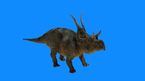 The dinosaur goes on a blue background, 3D render Stock Footage 85745924