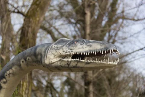 Dinosaur head 2 Stock Photos