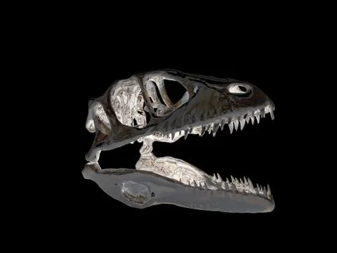 Dinosaur head Stock Photos