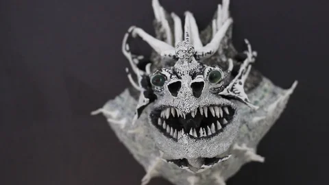 Dinosaur head skeleton closeup Stock Footage 104260934