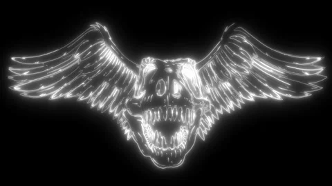 Dinosaur head skeleton in white line on black background Stock Footage 276225929