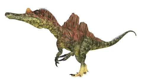 Dinosaur Ichthyovenator isolated on white background Illustrazione stock