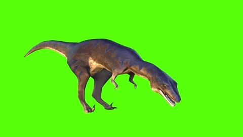 Animate Running Dinosaur Tyrannosaurus Rex 3d Stock Footage Video (100%  Royalty-free) 1012228994