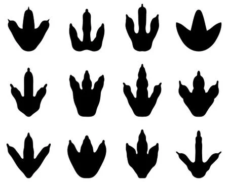 Dinosaur Stock Illustration