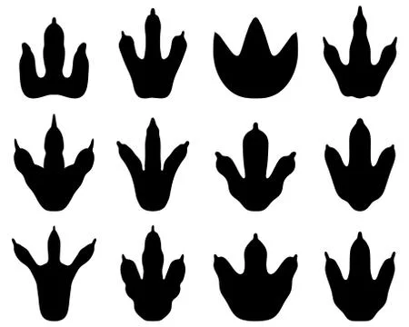 Dinosaur Stock Illustration