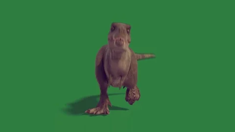 A dinosaur isolated on green screen background Stock-Footage 336856388