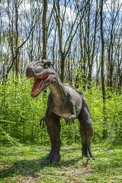 Dinosaur in the jungle. Stock Photos
