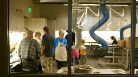 Dinosaur lab Vidéo 10750405