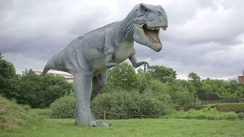 Dinosaur model moves her head and tail on the lawn.Tyrannosaurus Rex Stock Footage 76216826
