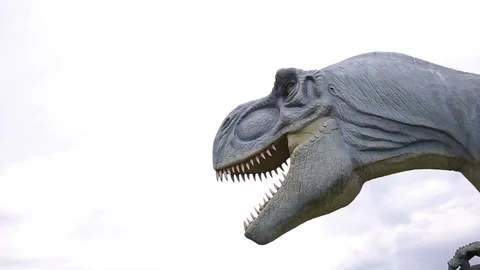 Dinosaur model moves her head and tail on the lawn.Tyrannosaurus Rex Stock Footage 76292221