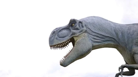 Dinosaur model moves her head and tail on the lawn.Tyrannosaurus Rex Stock Footage 76292227