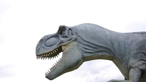 Dinosaur model moves her head and tail on the lawn.Tyrannosaurus Rex Stock Footage 76292231