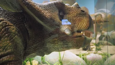 Dinosaur models move and wave their heads. natural models of ancient animals in Stock Footage 168168962