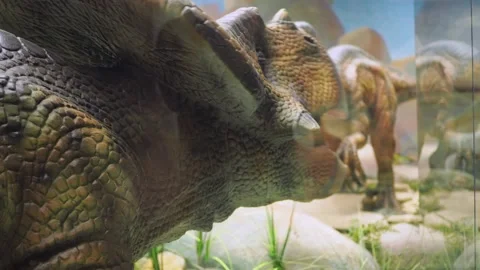 Dinosaur models move and wave their heads. natural models of ancient animals in Stock Footage 170611632