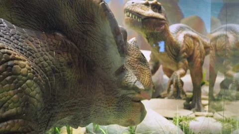 Dinosaur models move and wave their heads. natural models of ancient animals in Stock Footage 171129550