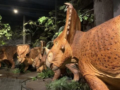 Dinosaur Models in a Museum 库存照片