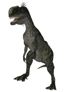 Dinosaur Monolophosaurus Stock Illustration