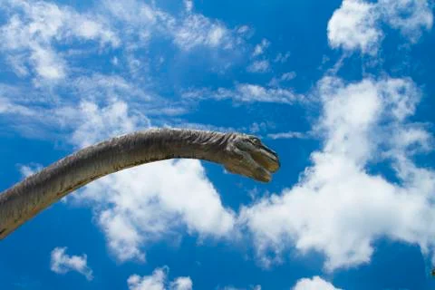 Dinosaur museum Stock Photos