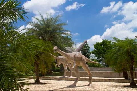Dinosaur museum Stock Photos