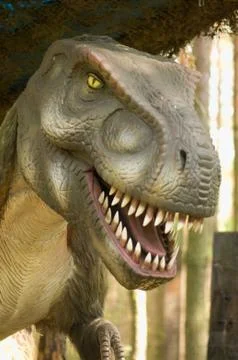 Dinosaur Stock Photos