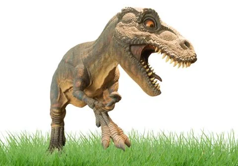 Dinosaur Stock Photos