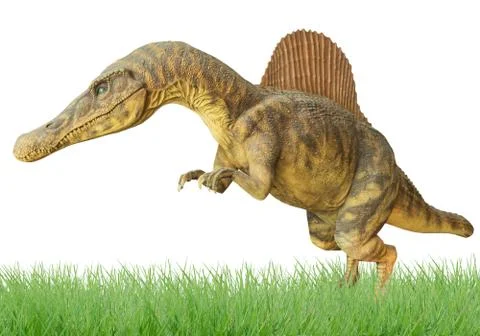 Dinosaur Stock Photos