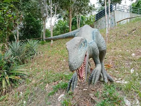 Dinosaur Stock Photos