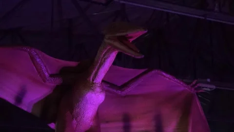 Dinosaur Pterosaur Pterodactyl wings moving animatronic animal tree Stock Footage 335873334