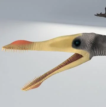 Dinosaur Pterosaur Static ~ 3D Model #91443226 | Pond5