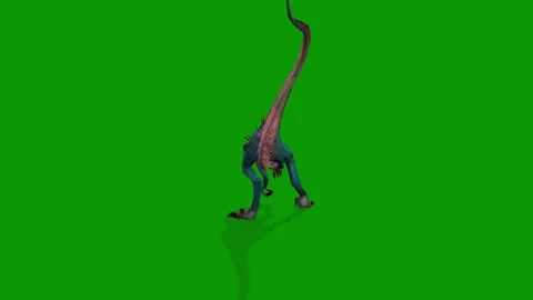 Dinosaur Raptor Eating  Scene From Back Side 3D Render Animation on Green Screen Stock Footage 340597231