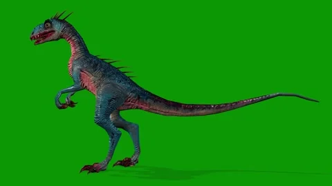 Dinosaur Raptor idle Scene From Left Side 3D Render Animation on Green Screen Stock Footage 340597233