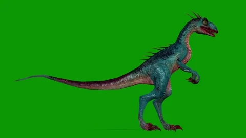 Dinosaur Raptor idle Scene From Right Side 3D Render Animation on Green Screen Stock Footage 340597219