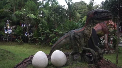 Dinosaur replica collection Video stock 295854085