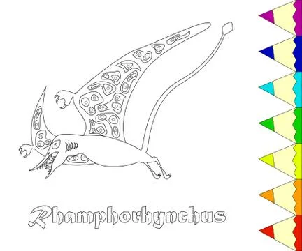 Dinosaur, Rhamphorhynchus Stock Illustration