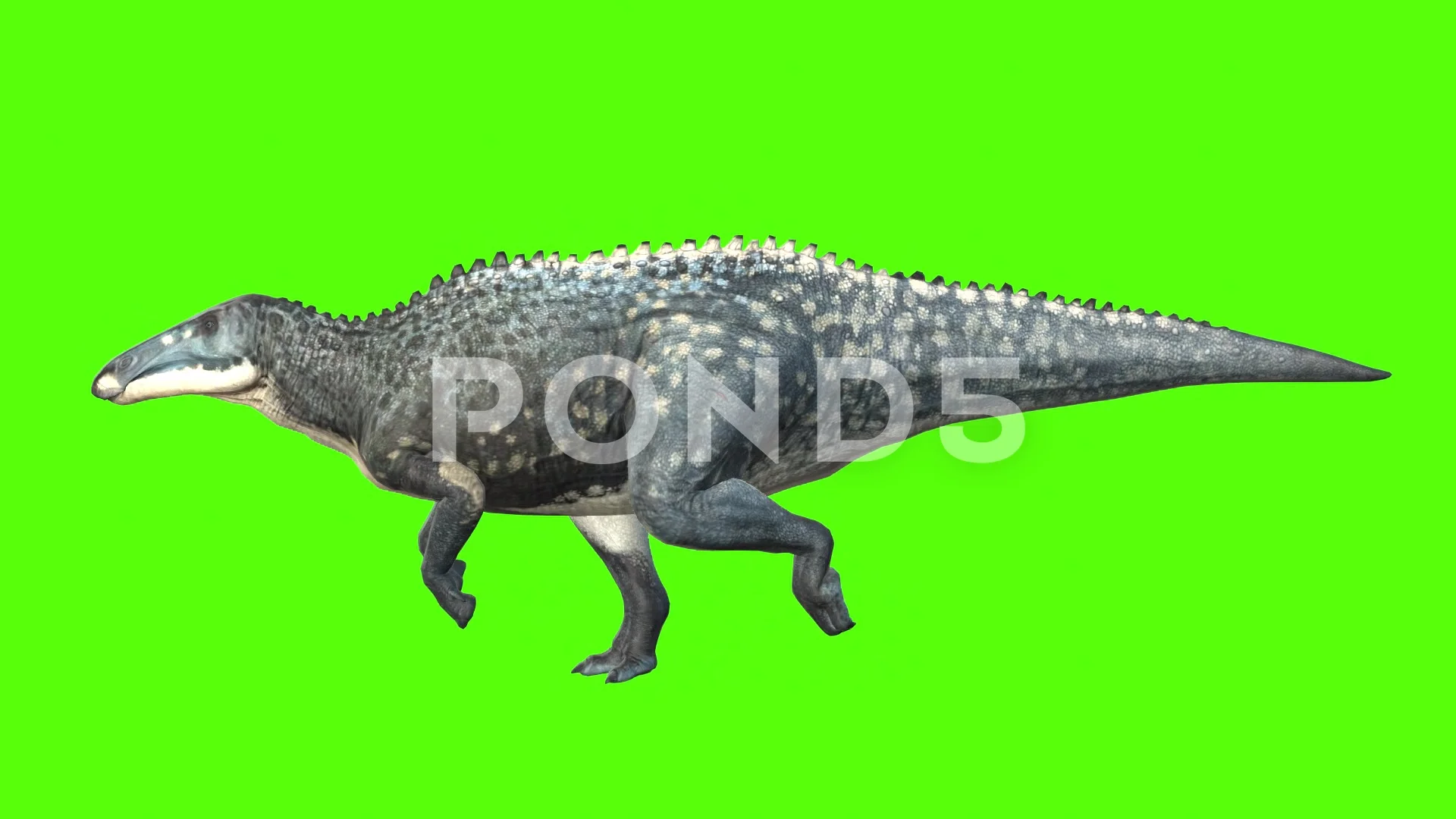 T Rex Blue screen animation walk run Dinosaur CGI animated 3D Studio Max  chroma key after effects 