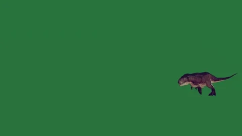 A dinosaur running on green screen and dog is bird flying through the air t - Stock Footage 335147764