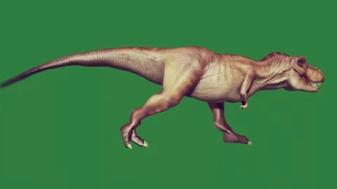A dinosaur is running isolated on green screen background Stock Footage 336856736