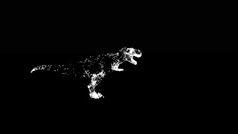 Dinosaur shape with shining particles on black background Stock Footage 257786732