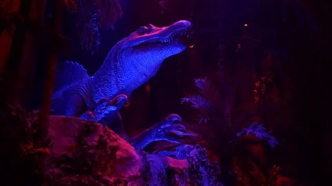 Dinosaur show. Stock Footage 74972026