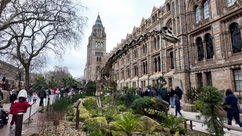 Dinosaur skeleton on display in the Evolution Garden at the Natural History Vídeo Stock 331193485