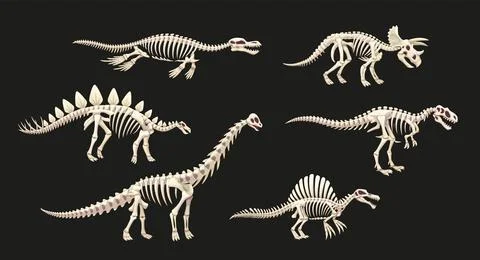 Dinosaur skeleton fossil of Jurassic lizards Stock Illustration