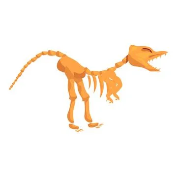 Dinosaur skeleton standing on two legs showing teeth Stock Illustration