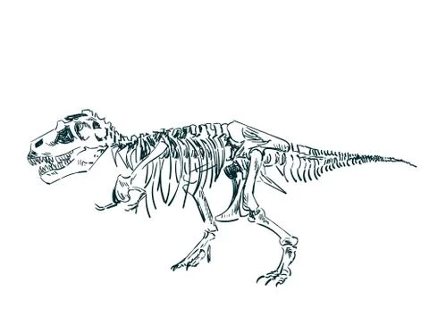 Dinosaur skeleton vector sketch isolated clip art Stock Illustration