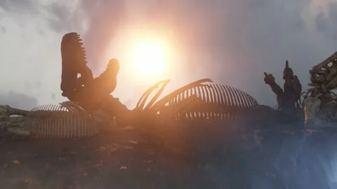 Dinosaur skeletons after extinction 3d render Stock Footage 164249502