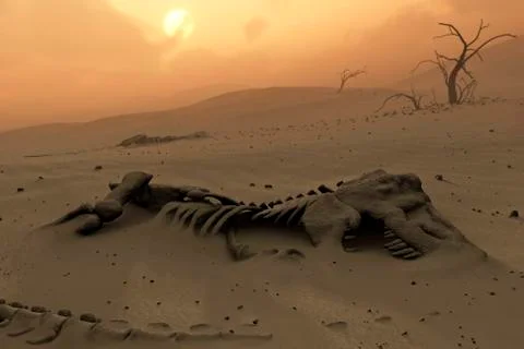 Dinosaur skeletons in the desert イラスト素材